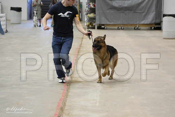 IMG_9254-Abilene2011-HR3