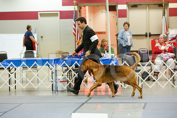 _JJ_5001-AmarilloSept2014-HR3