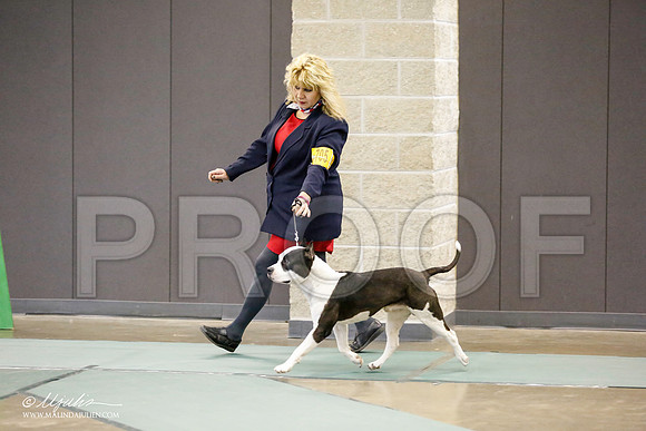 _RH_0026-BeltonJan2015-HR3