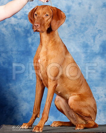 _ST_7398_2-SAJul2014-HR3