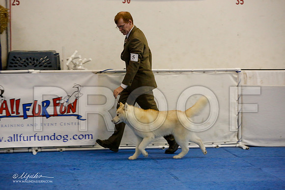 _M3_9763-AddisonHuskyMar2015-HR3