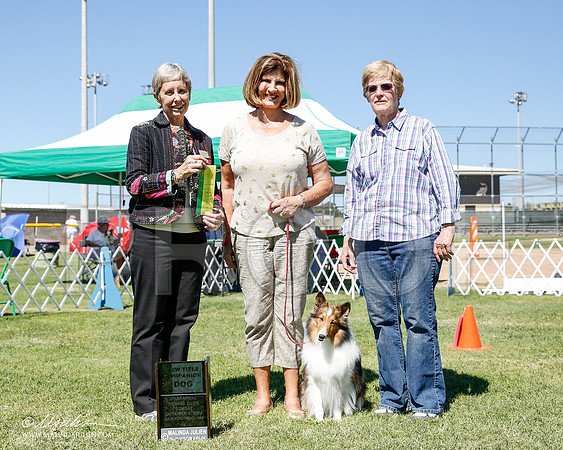 _CL_0369-2-AlamogordoOct2014-HR3