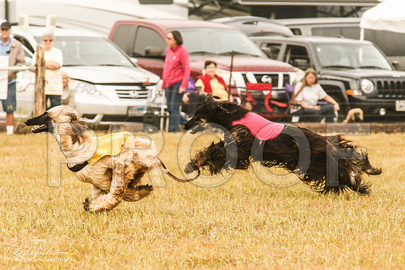 _MJ_3497-AfgBeltonOct2014-HR3