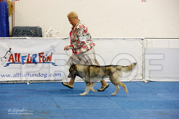 _M3_1622-AddisonHuskyMar2015-HR3