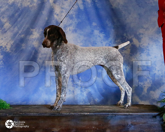 GSP-9822-HstnMar2014-HR3
