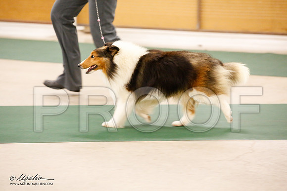 _JN_1665-NrmnNov2014-HR3