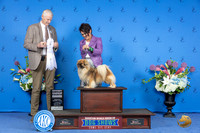 Tibetan Spaniel #5 THUR G4 Judge Jon Cole