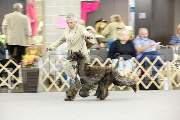 _JJ_0673-AfgBeltonOct2014-HR3