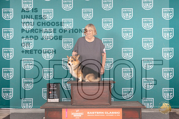 Pembroke Welsh Corgi #201 Fri RGCH TD Polly Jones__JP_2058_UKCEastern_2024_HR3