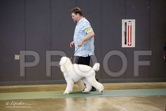 _LH_3327-BeltonJan2015-HR3