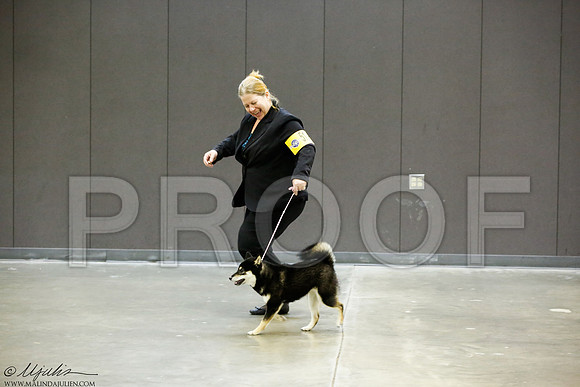 _J3L9756-BeltSep2014-HR