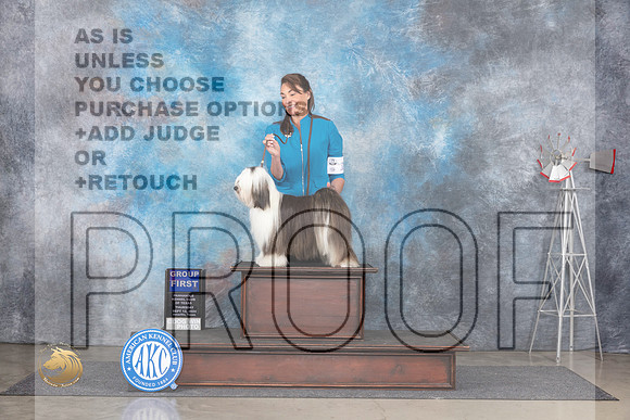 Tibetan Terrier #16 Thurs G1 Judge Denise Dean__JP_4972_Amarillo_2024_HR3