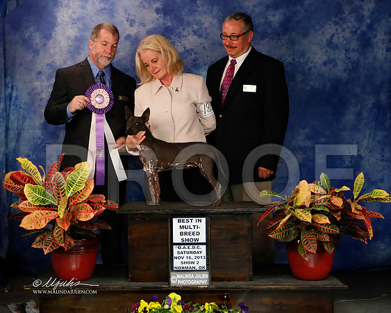 AmHrlss-8906-NormNov2013-HR