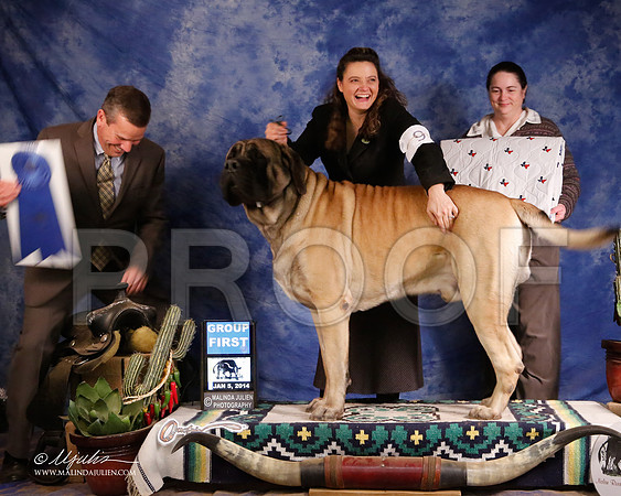 Mastiff-5361-GRJan14-HR