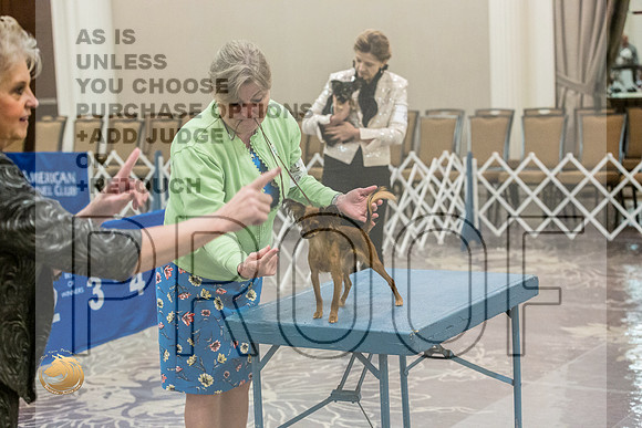 *Candids SatJJL_4116_HstnTOY_2022_HR3