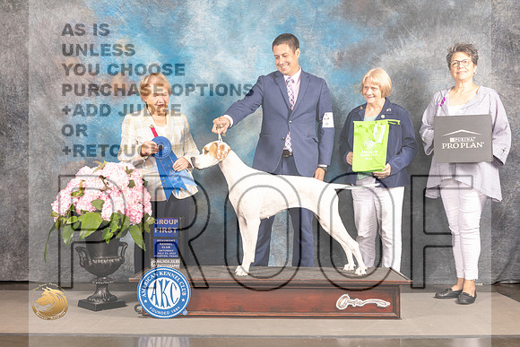 Pointer #6 Sat G1 Judge Polly Smith_MJ_7292_Houston_2022_HR3