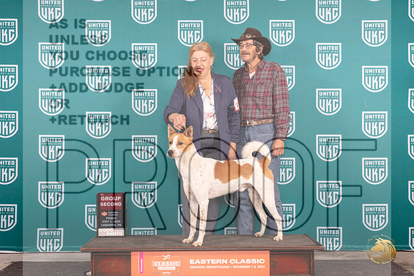 Canaann Dog #115 Fri G2 Judge Kathy Russell __JP_1971_UKCEastern_2024_HR3