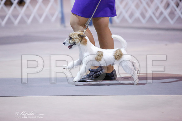 _JN_8913-SAJul2014-HR3
