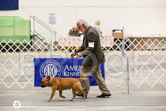 _CK_8523-AblnMay2014-web