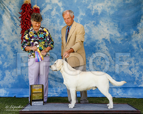 _ST_2682-2-AlamogordoOct2014-HR3