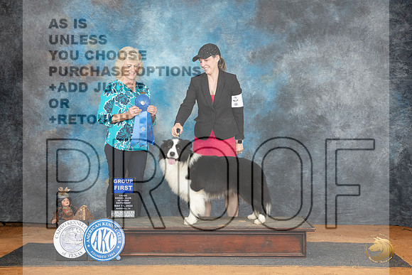 Border Collie #7 Sat G1 Judge Lisa Graser__JP_8335_MARSHALL_2024_HR3