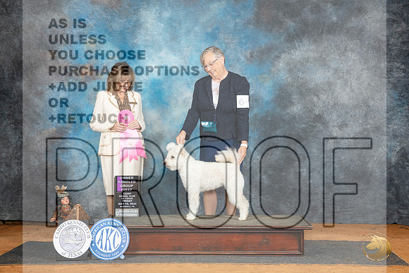 Pumi #6 Sat OHG1 Judge Sheryl Kendrick__JP_8282_MARSHALL_2024_HR3