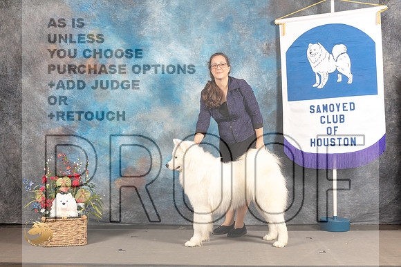Samoyed #15 Wed BOSSweeps Judge Tom Mauer_MJ_2844_Houston_2022_HR3
