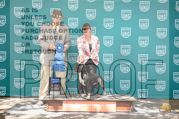 Staffordshire Bull Terrier #102 Fri G1 Judge Allan Krenek__JP_1847_Longview WA_2024_HR3