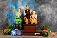 Norwich Terriers #8 Sun WD Judge Anne Bolus