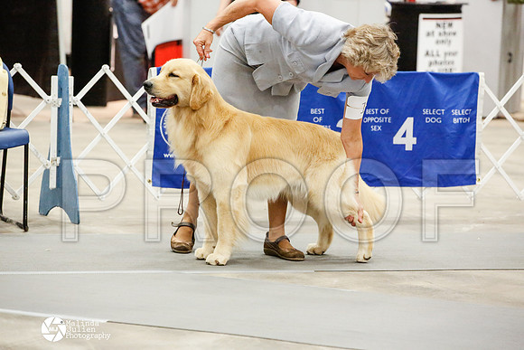_JN_1243-AblnMay2014-web