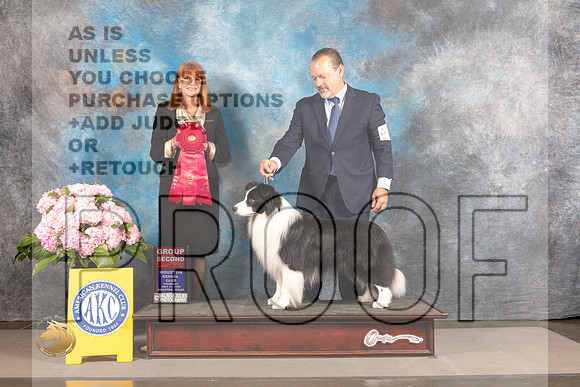 Border Collie #? THUR G2 Judge Linda Hurlebaus_MJ_4423_Houston_2022_HR3