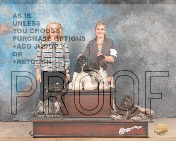 Cocker Spaniel Group Sun-MMJ_4761-Abilene2022-HR3