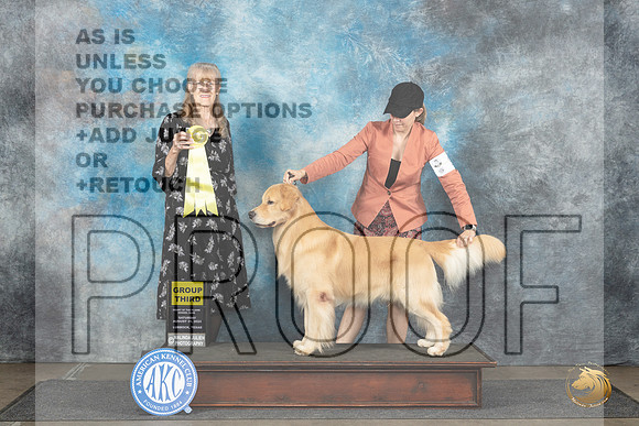 Golden Retriever #9 Sun G3 Judge Nancy Simmons__JP_4157_Lubbock_2024_HR3