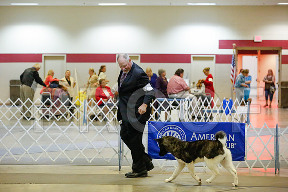 _JJ_9326-AmarilloSept2014-HR3