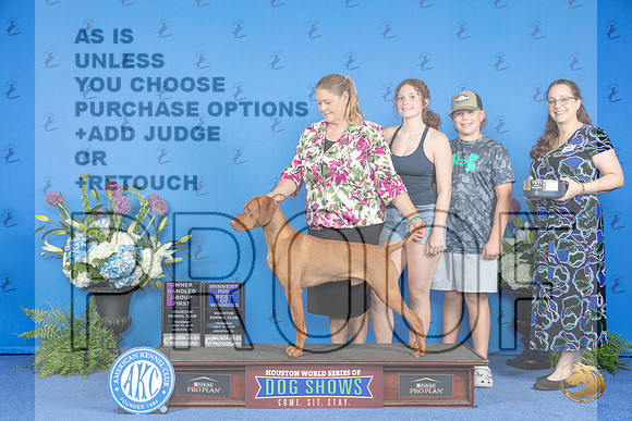 Vizsla #21 THUR WD BOW OHG1 Judge Wood Wornall__JP_8383_Houston_2024_HR3