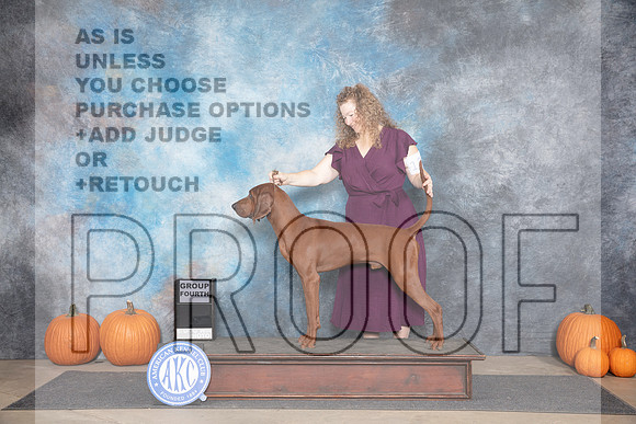 Redbone Coonhound # Fri G4 Judge Cathy Daughtry__JP_9192_Humble_2024_HR3