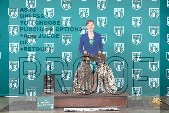 German Shorthaired Pointer #771 Wed Brace Judge Jeanne Heger__JP_2351_Premier_2024_HR3