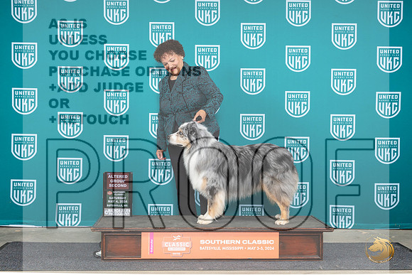 Australian Shepherd #199 Sat AG2 Judge Pamela Perdue__JP_6477_BatesvilleMS_2024_HR3