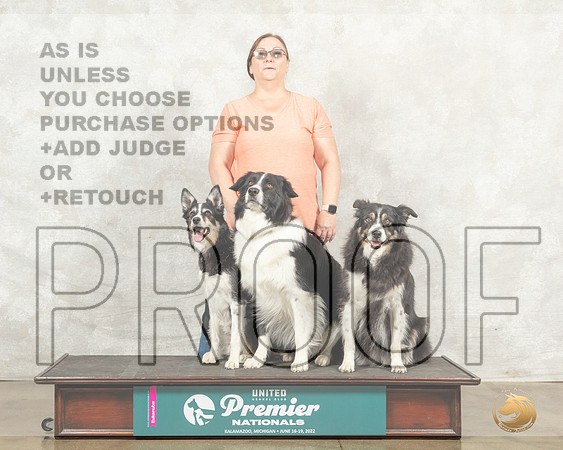 Border Collie Family Portrait__MJ_8346_Premier_2022_HR3