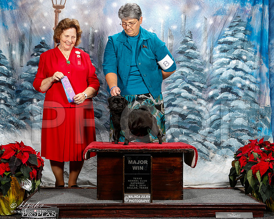 _ST_8689-2-DallasDec2014-HR3