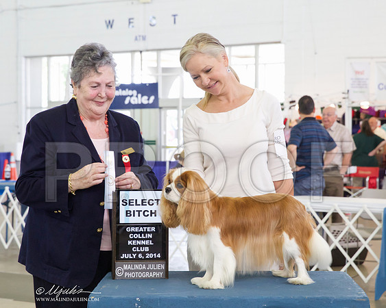 _CL_7478-DallasJul2014-HR3