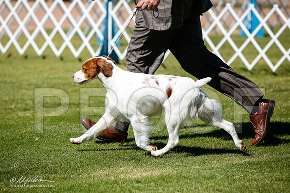 _JJ_4858-AlamogordoOct2014-HR3