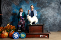 American Eskimo #8 Sat WBM Judge Shelley Hennessy