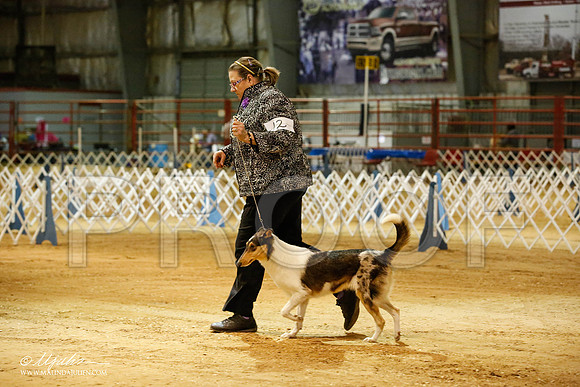 _JN_3166-2-GlenRoseJan2015-HR3