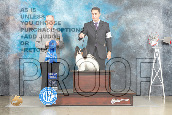 Papillon #8 Sat G1 Judge Alfred Ferruggiaro_MJ_4544_Amarillo_2022_HR3