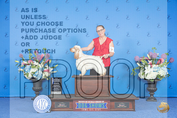 English Cocker Spaniel #5 SAT WD BOW NC M Judge Jon Cole__JP_0026_Houston_2024_HR3