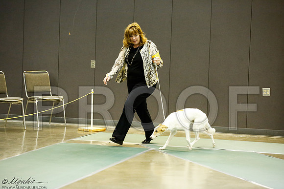 _J3L6959-BeltSep2014-HR