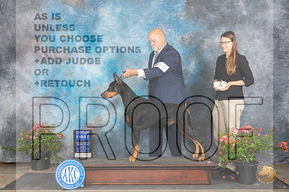 Doberman Pinscher #19 Sun G1 Judge Karen McFarlane__JP_6294_San Antonio_2024_HR3