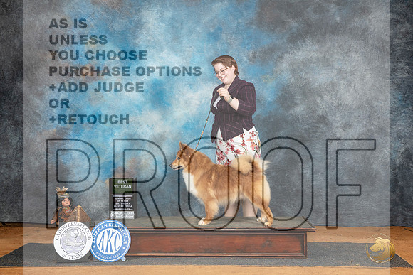 Icelandic Sheepdog #5 Sat BVet Judge Denise Dean__JP_8275_MARSHALL_2024_HR3