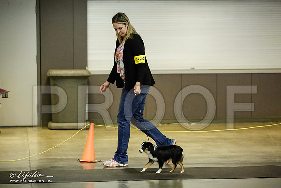 _JJ_6735-BeltonJan2015IABCA-HR3